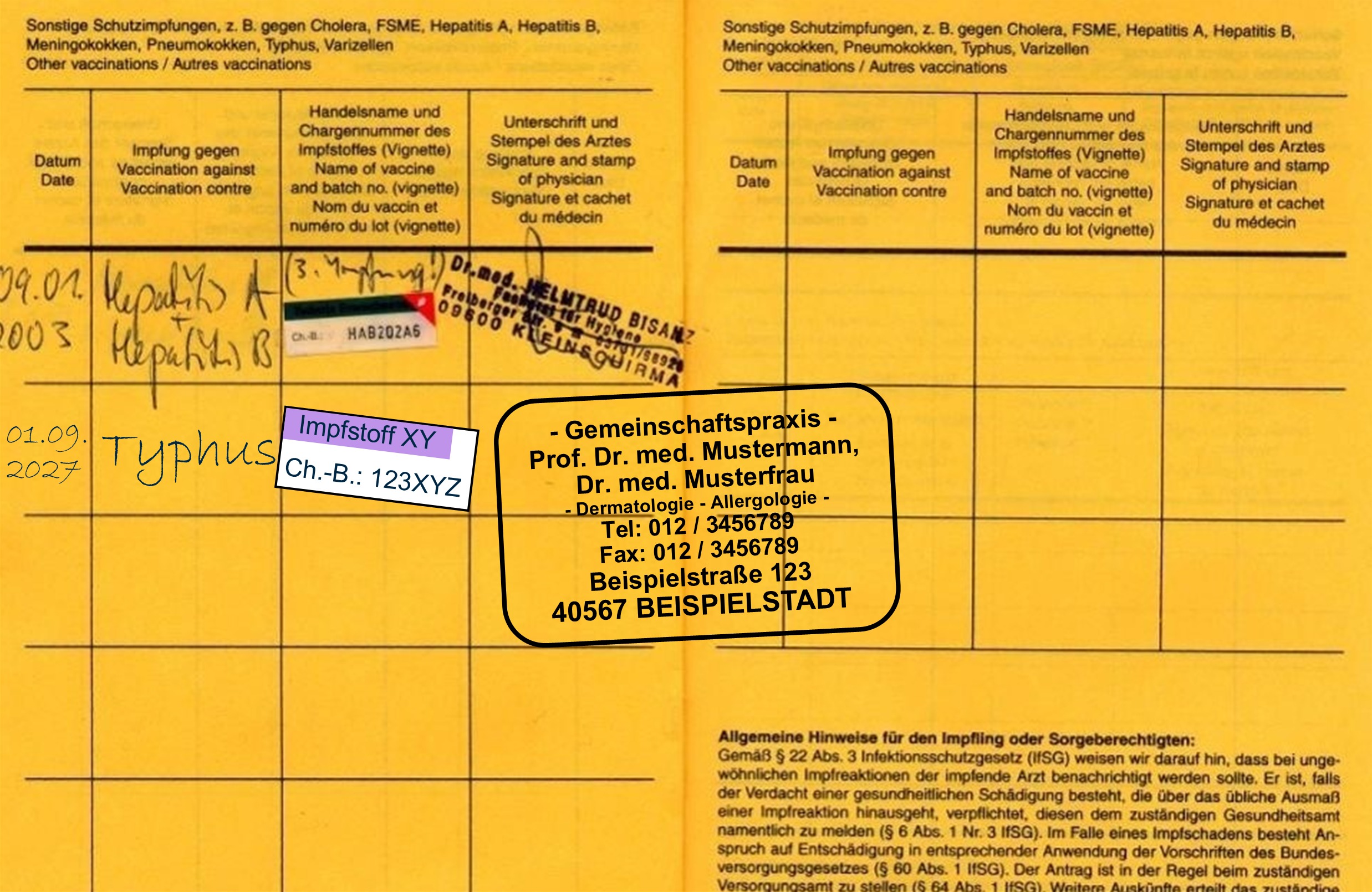 Grafik eines Impfpasses