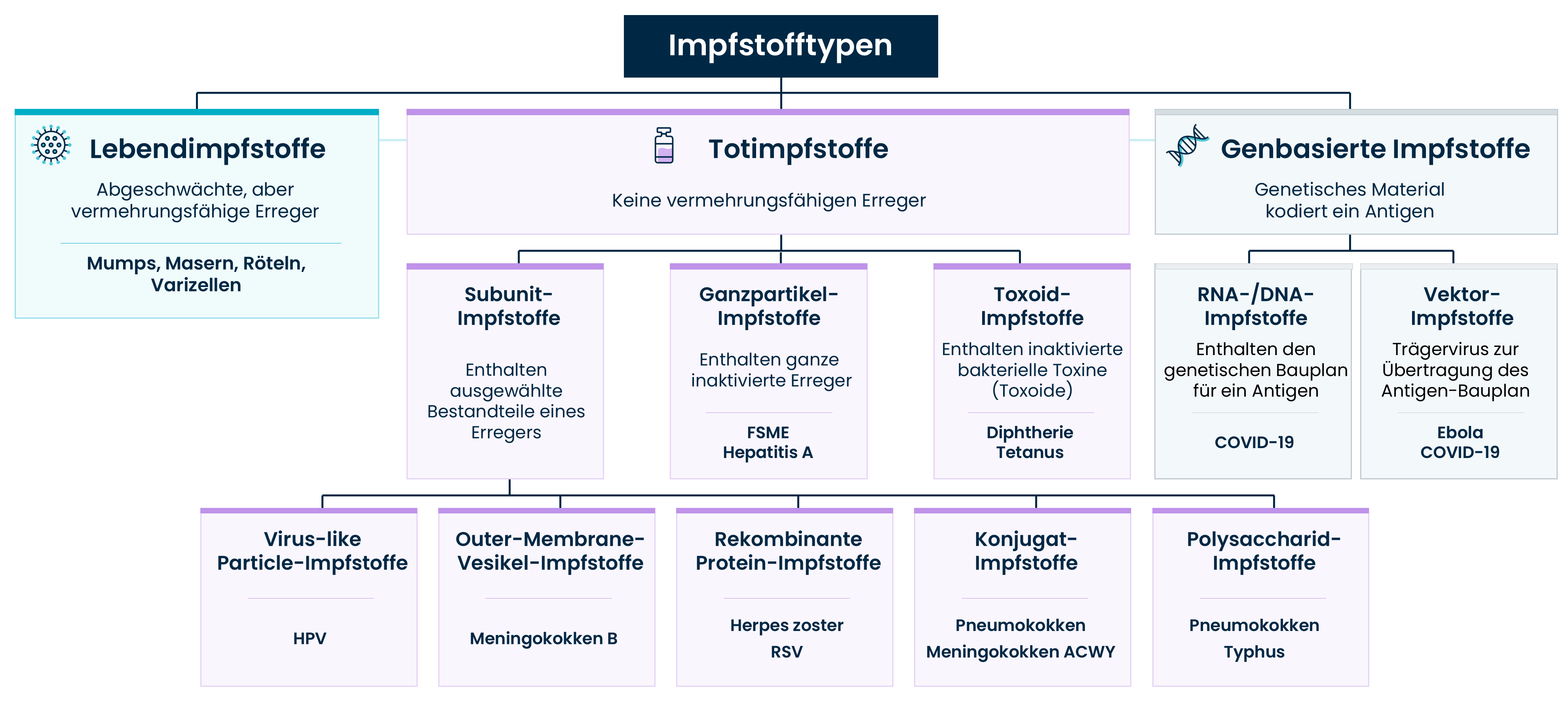 Grafik : Klassifizierung der Impfstoffe in Lebendimpfstoffe und Totimpfstoffe