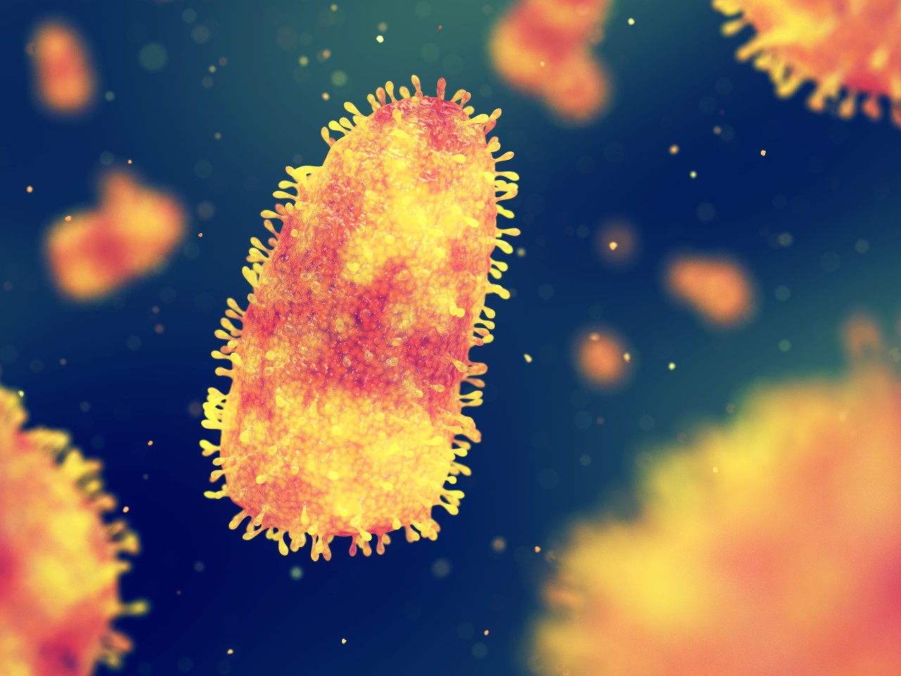 Tollwut Virus