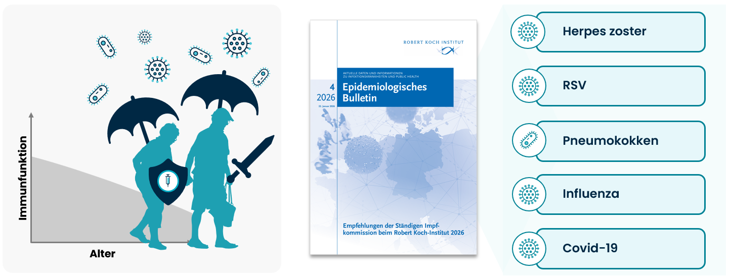 Altersbedingter Veränderungen des Immunsystems und STIKO‑Impfempfehlungen.