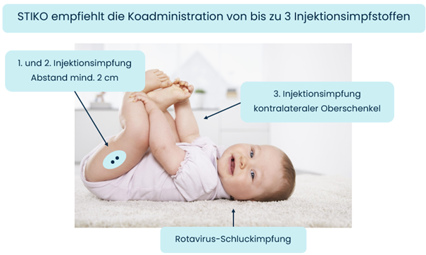Grafik Koadministration