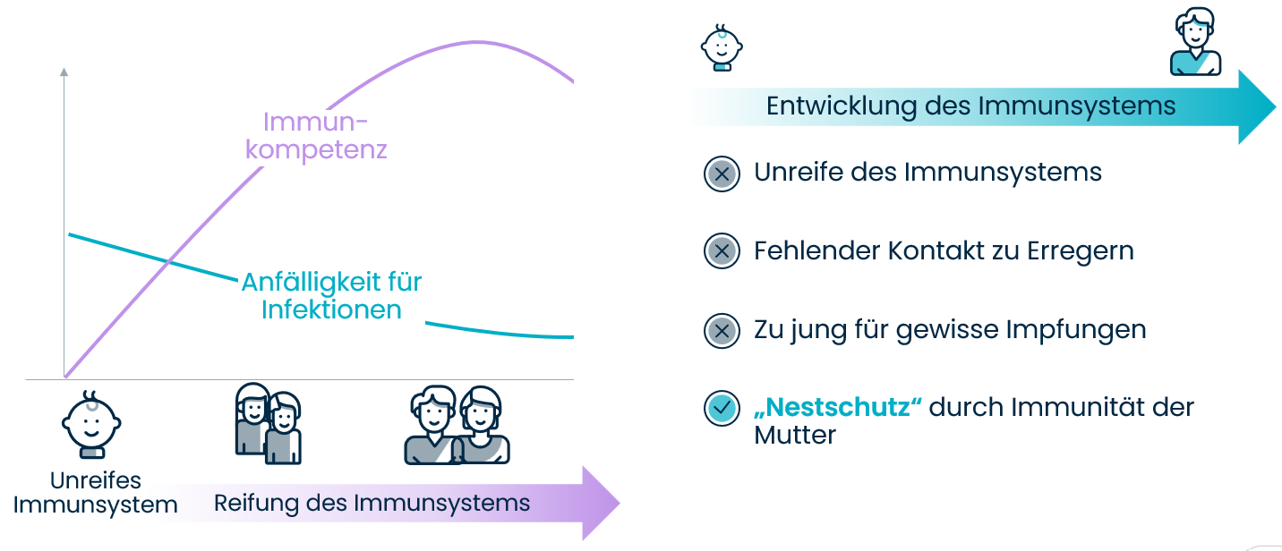 Grafik : STIKO-Impfkalender von Geburt bis U9