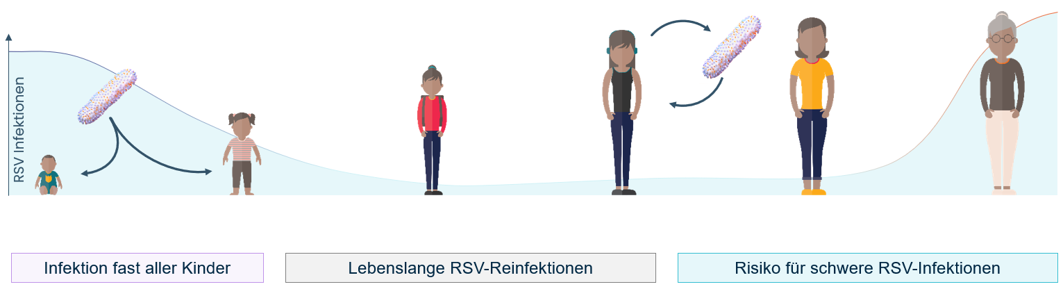 Grafik : RSV-Infektionen betreffen alle Altersgruppen