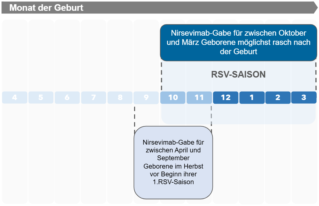 Grafik : Zeitpunkt der RSV-Prophylaxe nach STIKO-Empfehlung in Abhängigkeit vom Geburtsmonat.