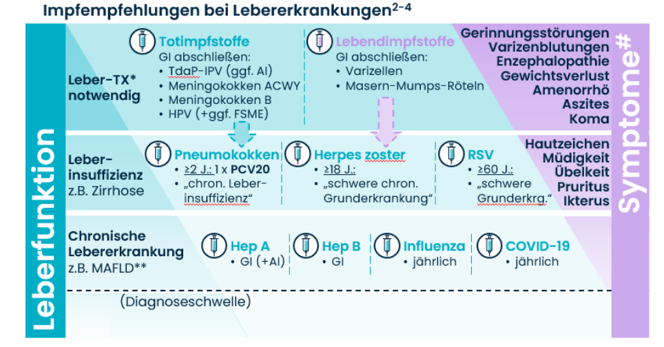 Grafik Leberfunktion und Symptome