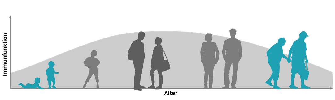 Grafik "Immunseneszenz"