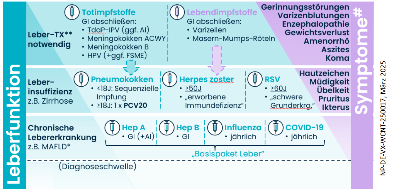 Grafik Leberfunktion und Symptome